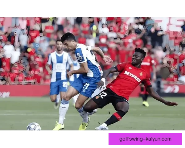 足球球迷讨论展现热情，赛事分析与战术交流逐渐吸引更多关注